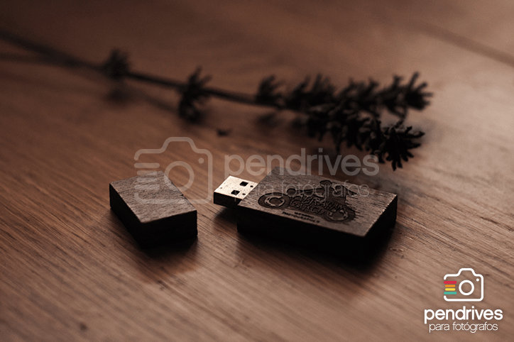 Abrahn Garcia - Concorazon Clé USB en bois modèle Bamboo
